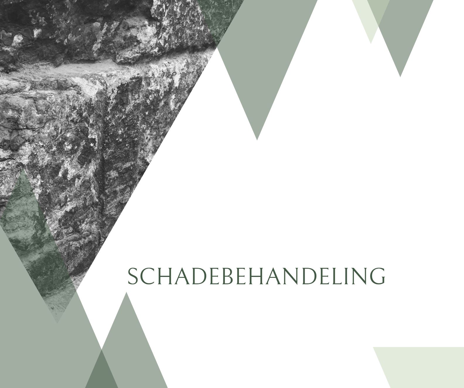 Schadebehandeling